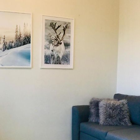 Santa'S Cozy Retreat, Near Santa'S Village روفانييمي المظهر الخارجي الصورة